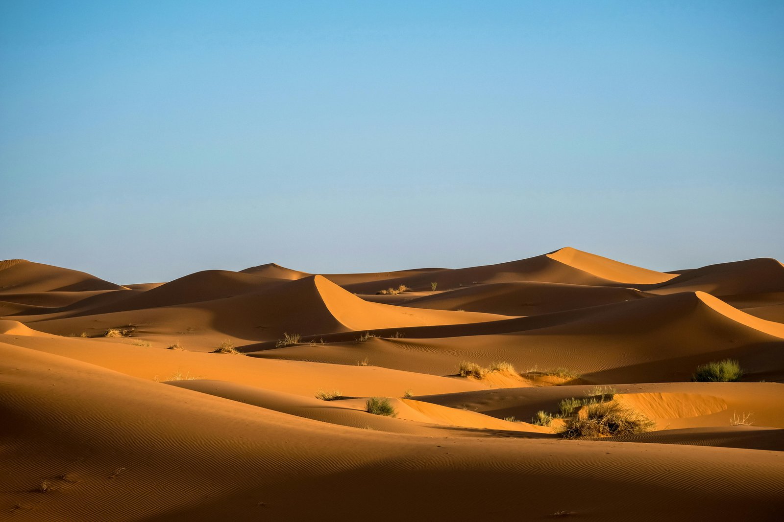 What to Wear and Pack for a Desert Safari in Dubai: Complete Guide