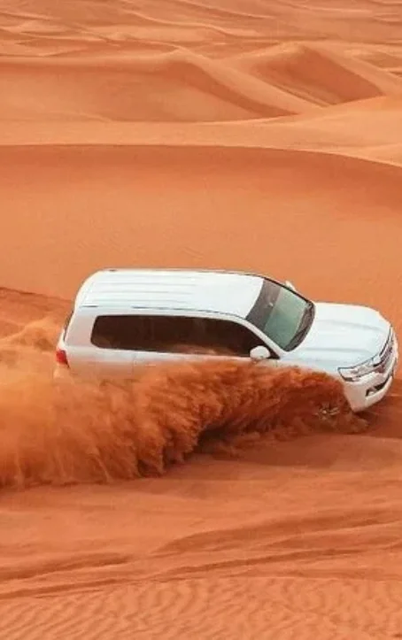 exclusive 4 hours deert safari